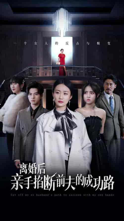 离婚后亲手掐断前夫的成功路（49集全）-初遇资源网