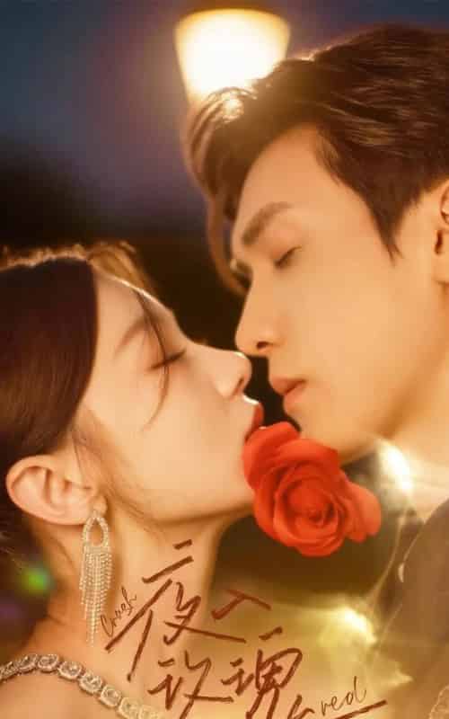 入夜玫瑰（80集）何田田＆胡家豪-初遇资源网