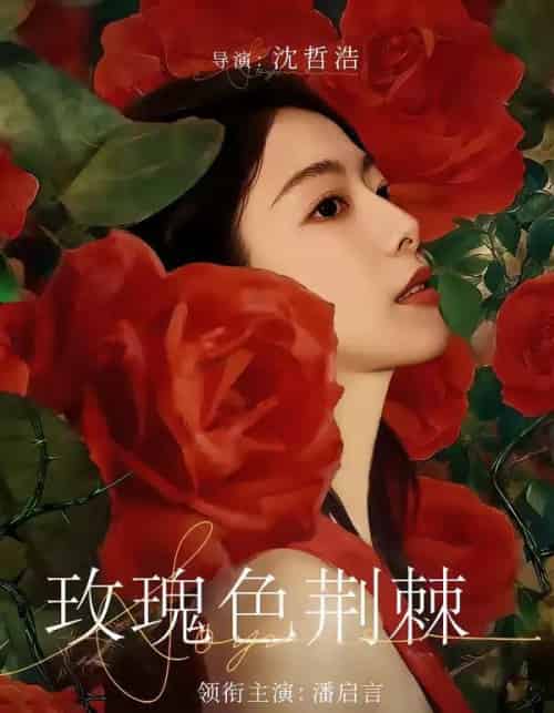 玫瑰色荆棘（60集全）潘启言＆张策-初遇资源网