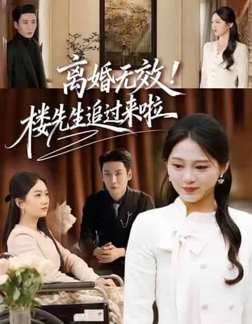 离婚无效！楼先生追过来啦（80集全）刘博洋＆崔秀子-初遇资源网