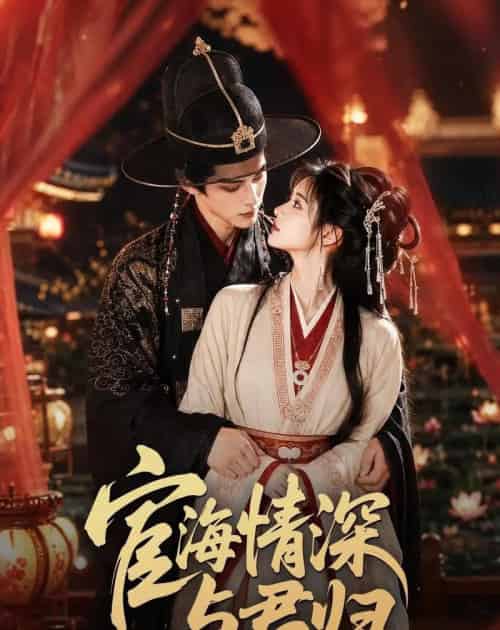宦海情深与君归 宦海情深与君归