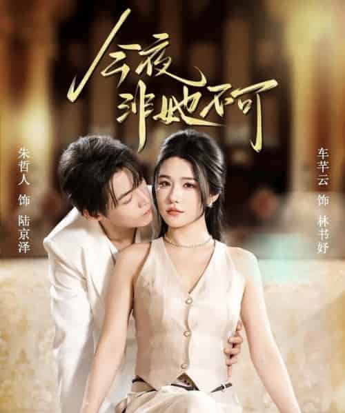 今夜非她不可（64集全）朱哲人＆车芊云-初遇资源网