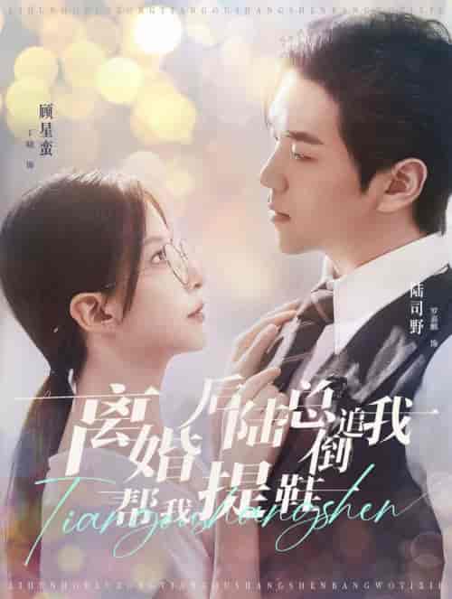 离婚后陆总倒追我帮我提鞋（100集全）罗嘉麒＆丁晓-初遇资源网