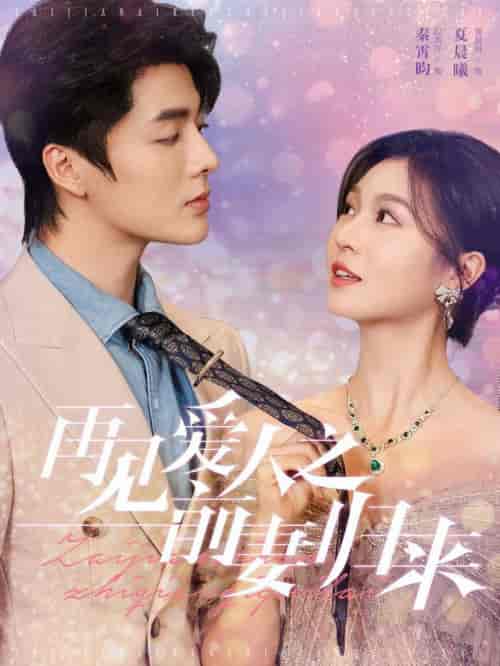 再见爱人之前妻归来（75集全）段美洋＆郑晨雨-初遇资源网