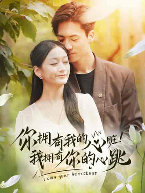 你拥有我的心脏！我拥有你的心跳（78集全）-初遇资源网