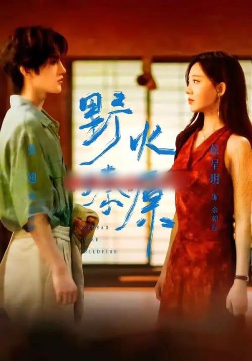 野火燎原（72集全）张翅＆侯呈玥 - 夸克短剧