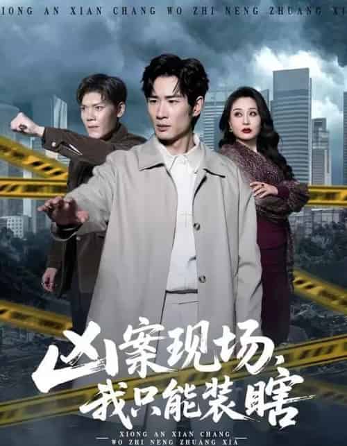 凶案现场，我只能装瞎（72集全）何俊雄＆张明雪-初遇资源网