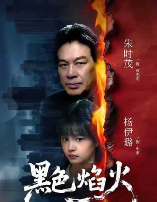 黑色焰火（41集全）朱时茂＆杨伊璐-初遇资源网