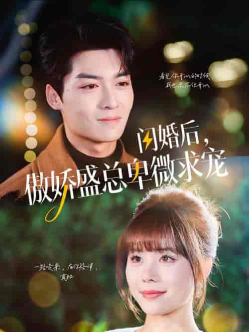 闪婚后傲娇盛总卑微求宠（100集全）方正男＆温叙-初遇资源网