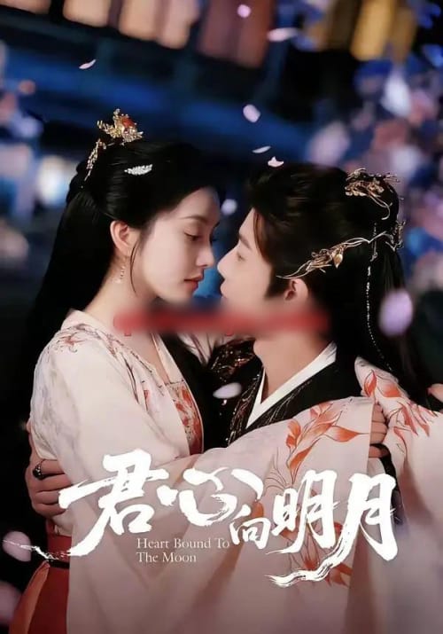 君心向明月(60集全)沈浩晨&梨小娜-初遇资源网