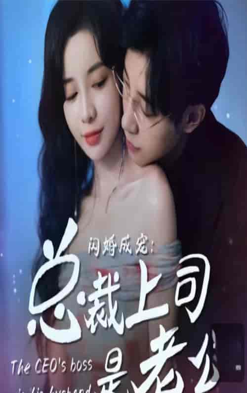 闪婚成宠，总裁老公是上司（山南溪北遇知行）90集-初遇资源网