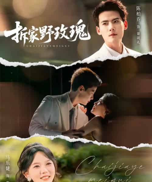 拆家野玫瑰（80集全）陈刚＆马乐婕-初遇资源网
