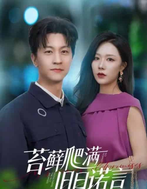 情途难负(83集)-初遇资源网