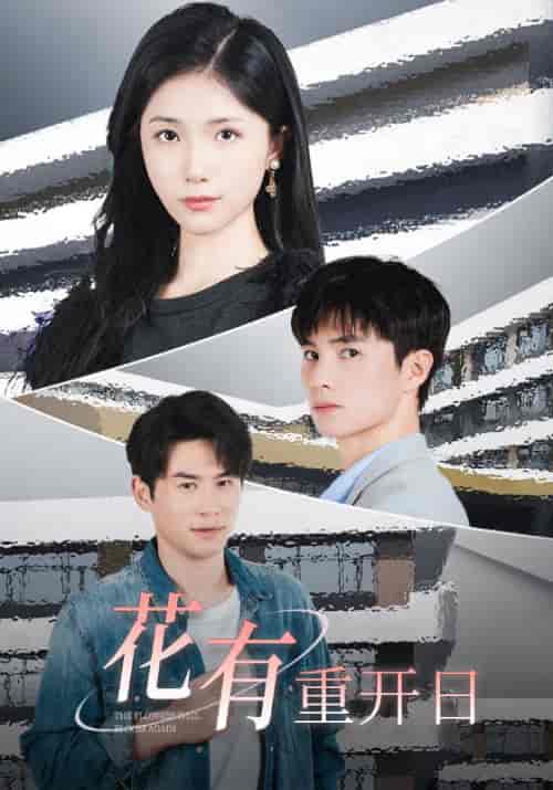花有重开日（41集全）-初遇资源网