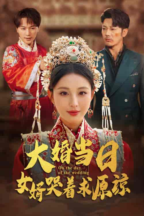 大婚当日，女婿哭着求原谅（31集全）-初遇资源网