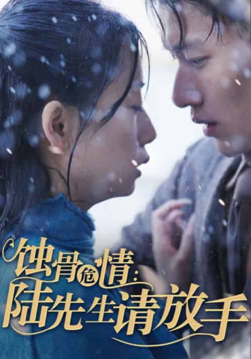 蚀骨危情：陆先生请放手（80集全）陆薄川＆江年-初遇资源网