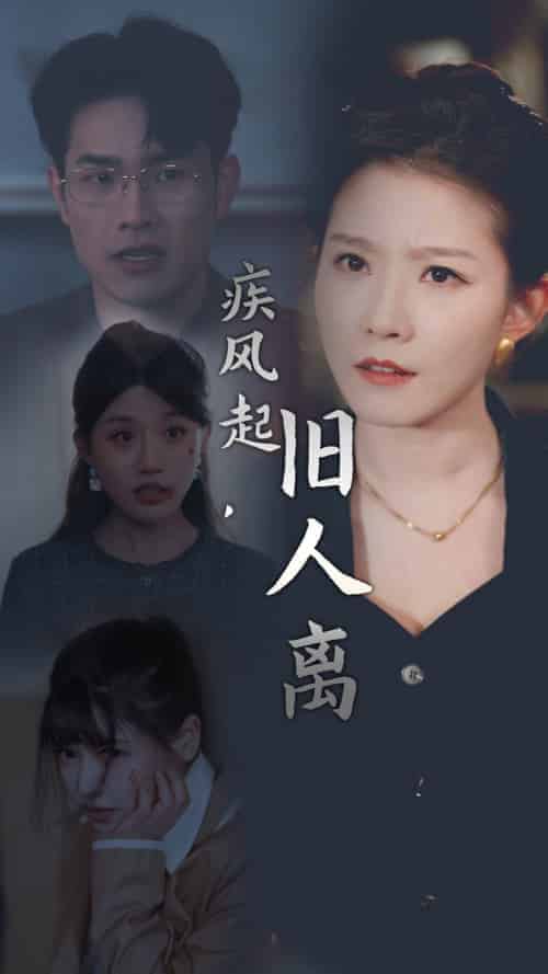 疾风起旧人离（32集全）-初遇资源网