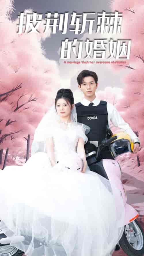 新版：披荆斩棘的婚姻（90集）-初遇资源网