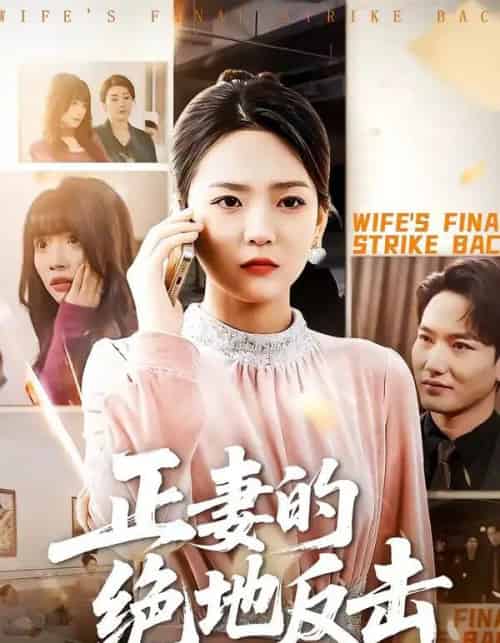 正妻的绝地反击（76集全）张浩天＆高婧琪-初遇资源网