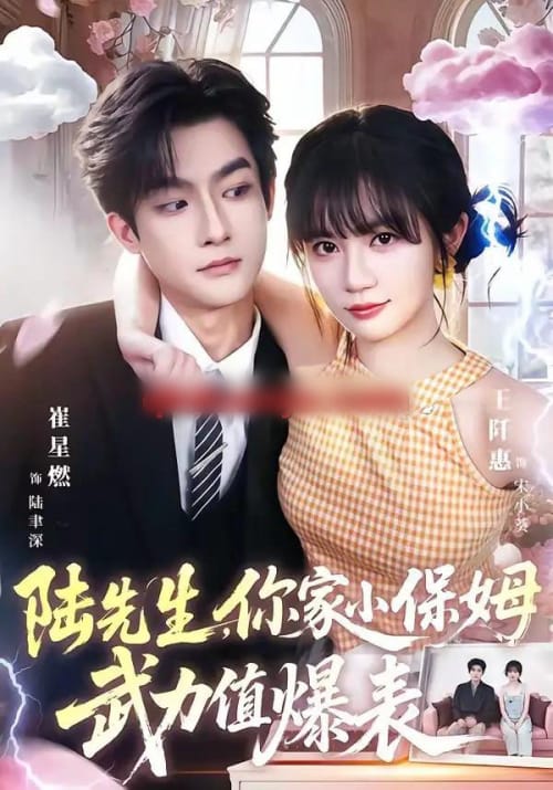 陆先生,你家小保姆武力值爆表 陆先生,你家小保姆武力值爆表