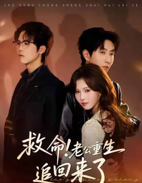 救命！老公重生追回来了（40集全）丁紫嫣＆戴睿-初遇资源网