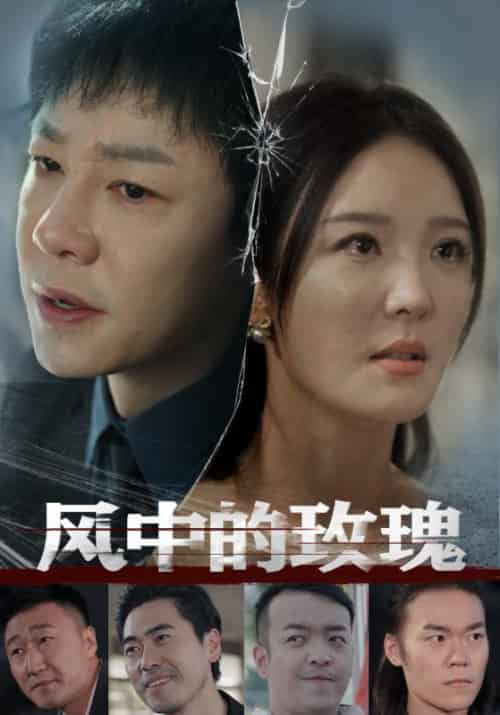 风中的玫瑰（59集全）李明-初遇资源网