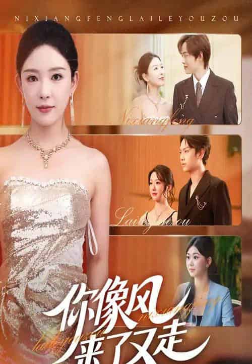 你像风来了又走（59集全）葛玲＆刘松涛-初遇资源网
