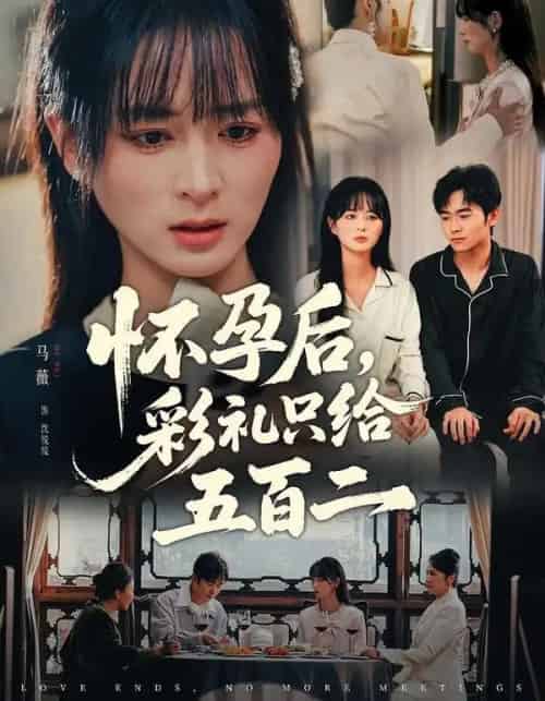 怀孕后，彩礼只给五百二（40集全）马薇＆丛家梦-初遇资源网