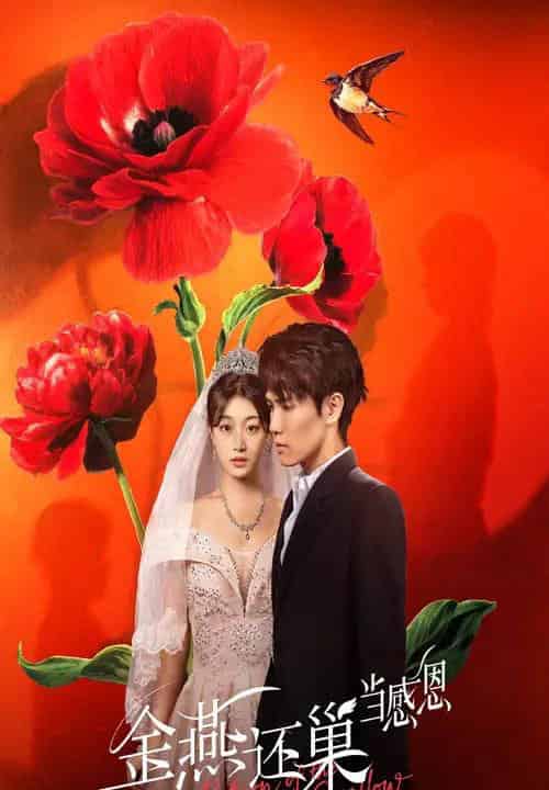 金燕还巢当感恩（55集）晓杨＆刘曙瑞-初遇资源网