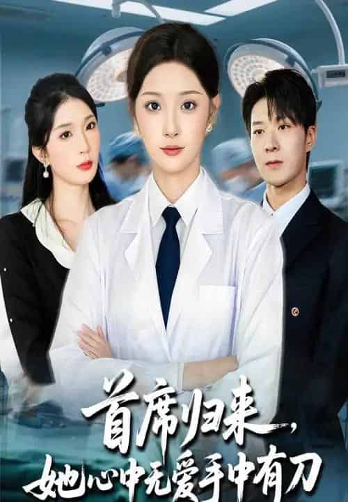 首席归来她心中无爱手中有刀(65集全)夏欢亭&李明恒-初遇资源网