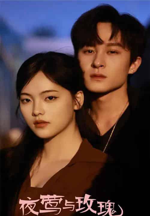 夜莺与玫瑰(60集)聂杨&江炘-初遇资源网