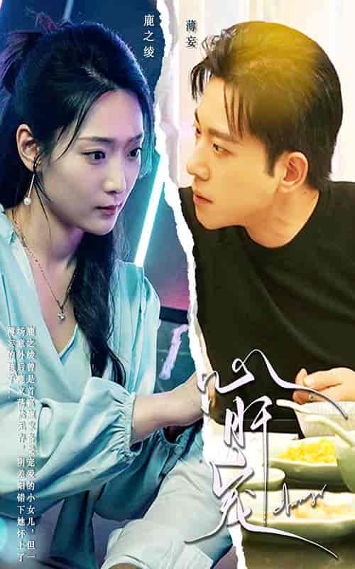 心肝宠（98集）-初遇资源网