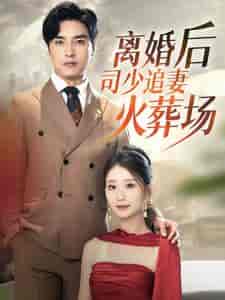 离婚后司少追妻火葬场（87集）-初遇资源网