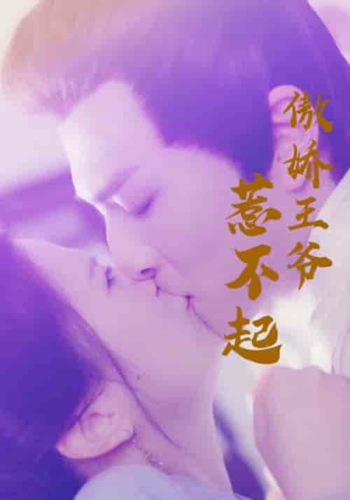 傲娇王爷惹不起（17集）顾彦辰＆陆倾婉-初遇资源网