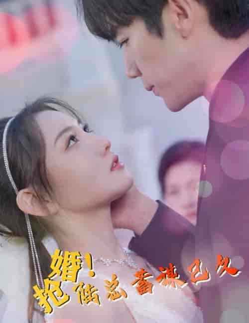 抢婚！陆总蓄谋已久（99集）-初遇资源网