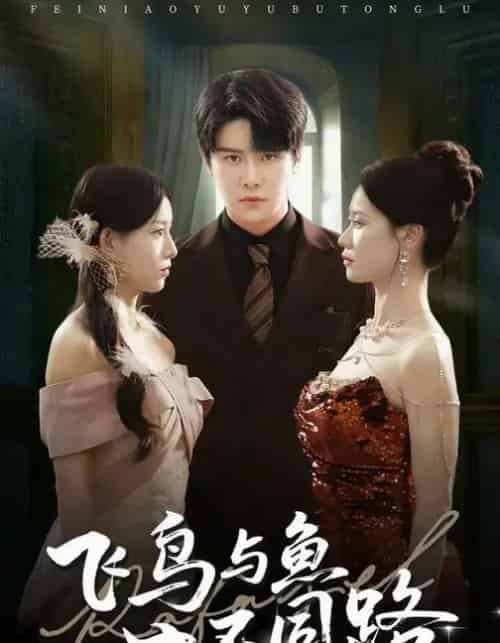 飞鸟与鱼不同路（60集全）祝静怡＆曲曦晨-初遇资源网