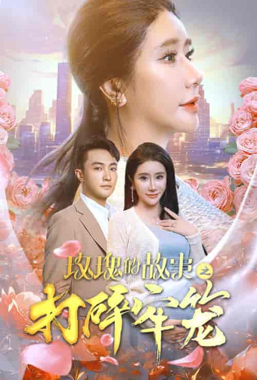 玫瑰的故事之打碎牢笼（58集全）-初遇资源网