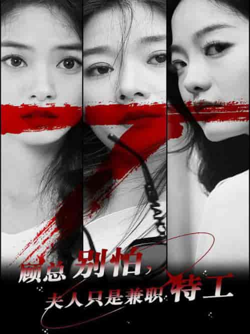 顾总别怕夫人只是兼职特工（80集全）-初遇资源网