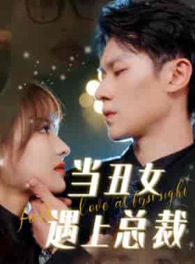 当丑女遇上总裁（85集）羽佳-初遇资源网