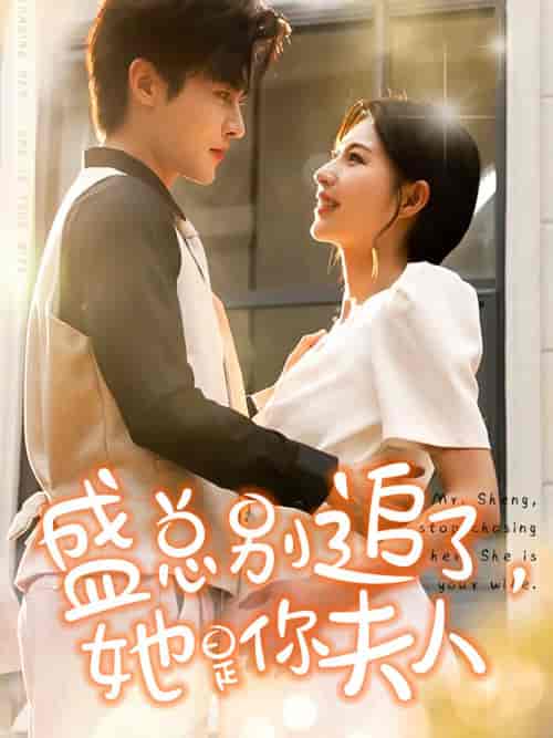盛总别追了，她是你夫人（99集）马明宇-初遇资源网