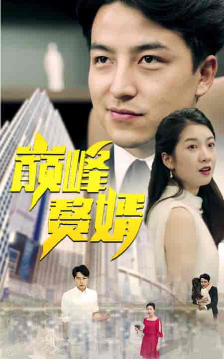 巅峰赘婿(100集)-初遇资源网