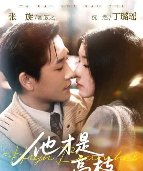 他才是高枝（77集全）张旋＆丁璐瑶-初遇资源网