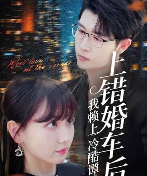 上错婚车后我赖上冷酷谭爷（59集）王裕博＆韩忠羽-初遇资源网