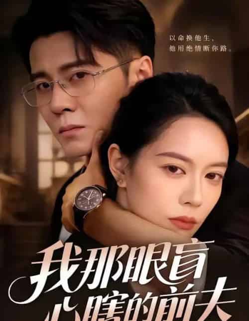 我那眼盲心瞎的前夫（61集全）刘君尧＆李曼-初遇资源网