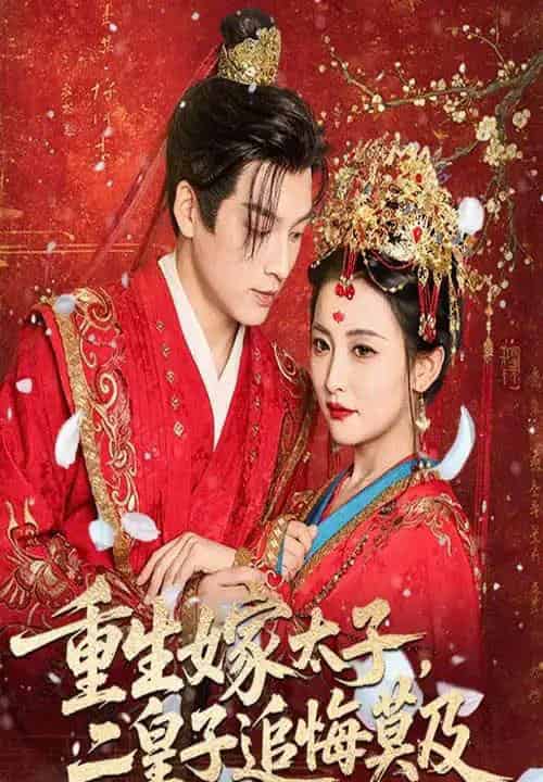 重生嫁太子二皇子追悔莫及(54集)雷笑语&黄帅帅-初遇资源网