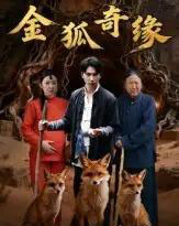 金狐奇缘（42集全）李图图＆张旭-初遇资源网