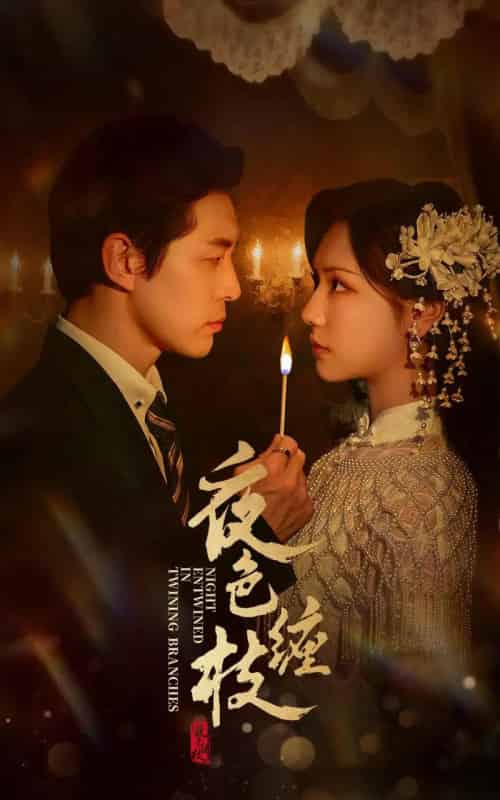 夜色缠枝（60集全）赵廷义＆王云云-初遇资源网