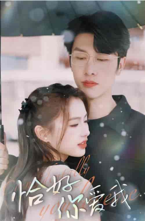 恰好你爱我(87集)-初遇资源网