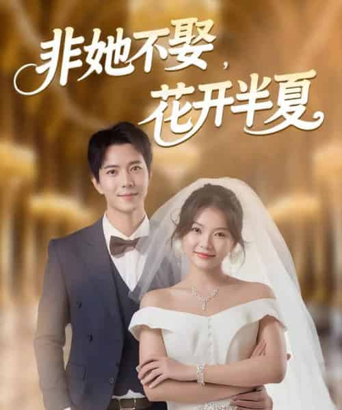 非她不娶，花开半夏（63集全）傅汉源＆林籽蓉-初遇资源网