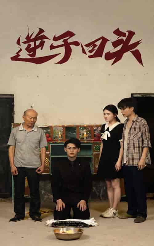 逆子回头（33集）-初遇资源网